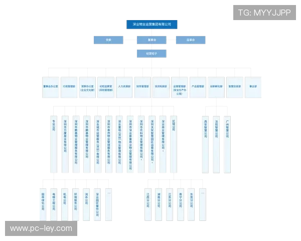 柔性组织架构试行 适应快速变化的市场环境